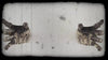 Zombie, Mummy and Skeleton hand guitar hanger wall mounts.